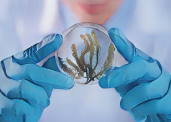 Future World Where Art Meets Science