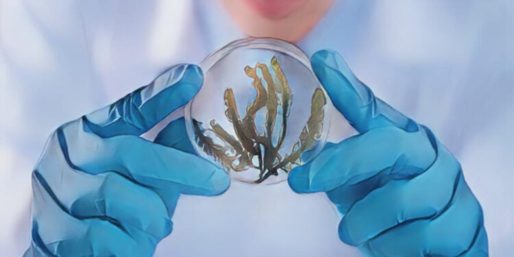 Future World Where Art Meets Science