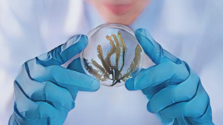 Future World Where Art Meets Science