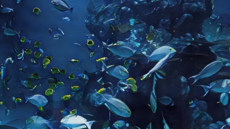 Environmental Science Definition