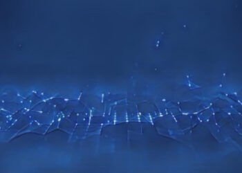 Who Uses Information Technology