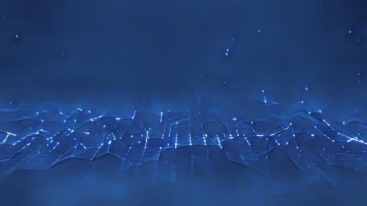 Who Uses Information Technology